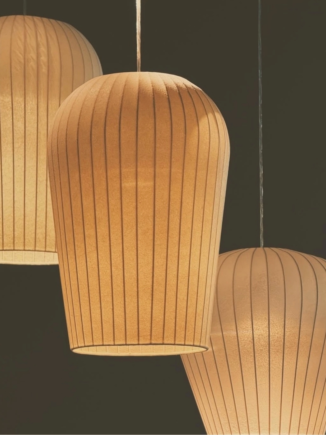 Banner Cat Luminaires